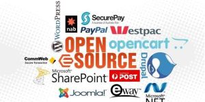 Ecommerce Website Development