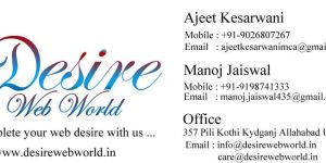 Ecommerce Application Development Services