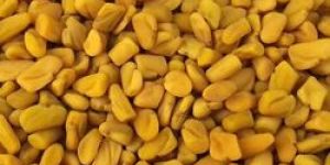 Fenugreek Seeds
