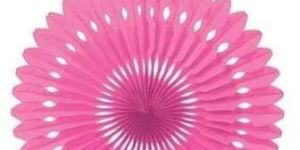 Decorative Paper Fan