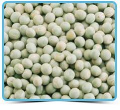 Green Peas