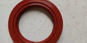 Oil Seals