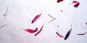 Handmade Flower Petal Papers