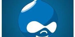 Drupal Development Services