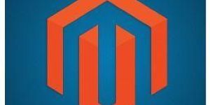 Magento Development Services