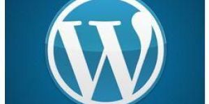 Wordpress Development Services