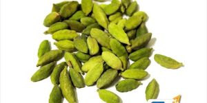 Cardamom
