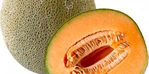 Muskmelon