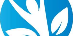 Healthcare IT Software Solutions Service