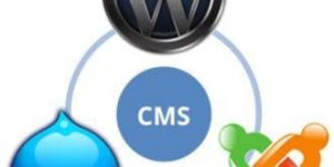 Cms Development Services