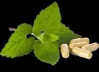 Hair Loss Homeopathy Medicines