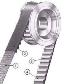 Power Transmission Belts