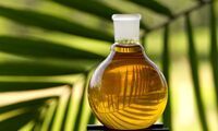 Palm Oil