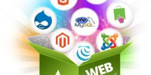 Website Development Services