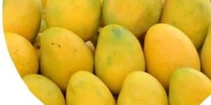 Baiganpally Mango