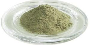 Bacopa Monnieri Extract
