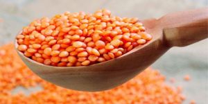 Red Lentils