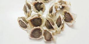 Dried Moringa Seed