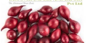 India Small Onions