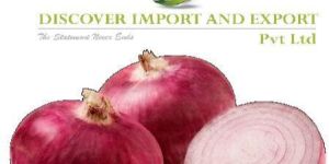 Red Onions