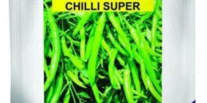 Chilli Seeds