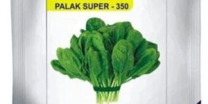 Palak Seeds