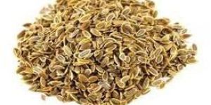 Dill Seeds