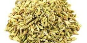 Fennel Seeds