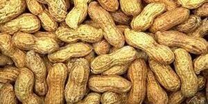 Ground Nuts
