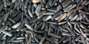 Niger Seeds