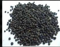 Black Pepper