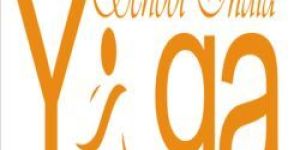 200 hour Yoga Teacher Training in Rishikesh- India