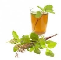 Tulsi Juice