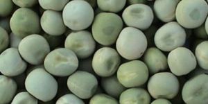 Green Peas