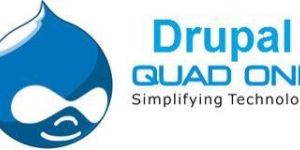 Drupal Development Services