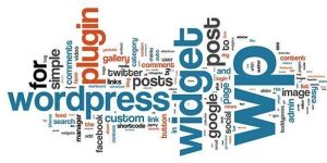 Wordpress Website Development Services