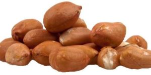 HPS Groundnut Kernels