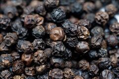 Black Pepper