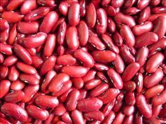 Rajma (Red Kidney Beans)