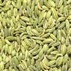 Fennel Seed
