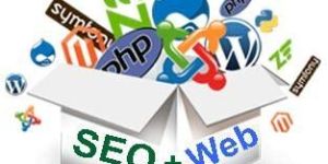 Web Development & mobile app services