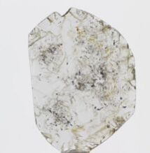 Loose Slice Natural Diamonds