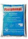 Phosphobacteria Bio Fertilizer