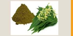 Neem Leaf Extract