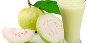 Frozen White Guava Pulp