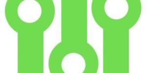 Customized Software Applications