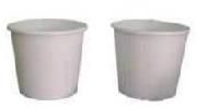 Paper Disposable Cups