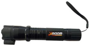 Electra V 2.0 Laser With Flash Light Stun Gun