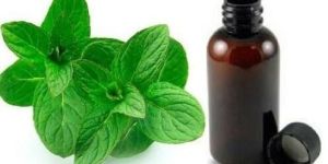Mentha Citrata Oil