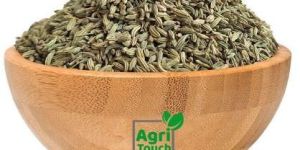 Fennel Seeds